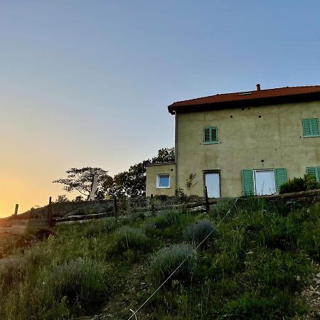 Agriturismo Cascina Cornelli Сасселло Экстерьер фото