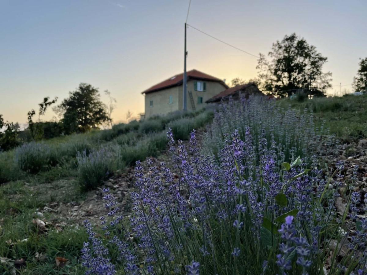 Agriturismo Cascina Cornelli Сасселло Экстерьер фото